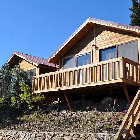 Azra Villa *