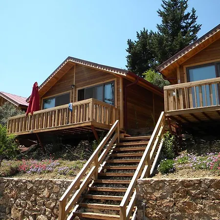 Azra Villa *