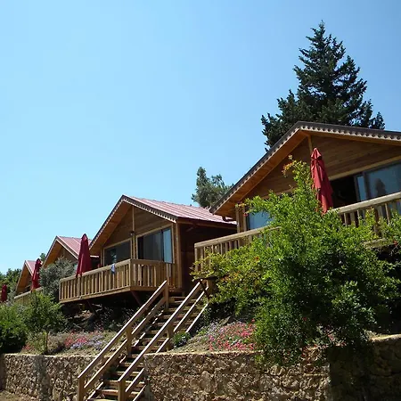 Azra * Çıralı