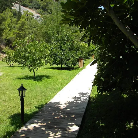 Azra * Çıralı