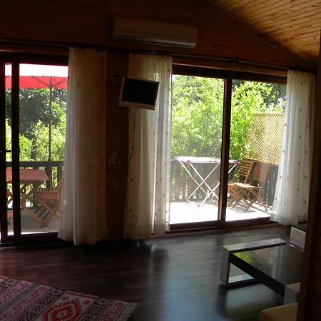 Azra Çıralı