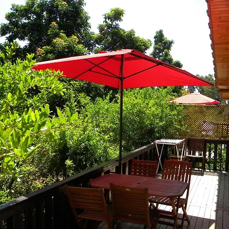 Villa Azra *