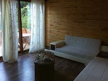 Azra Çıralı